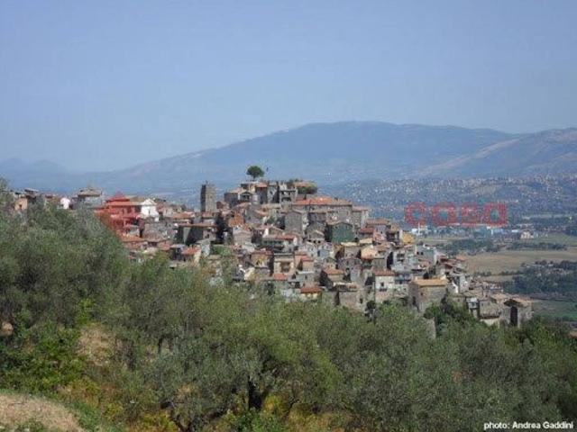 Capannone in vendita a Sgurgola, Lazio