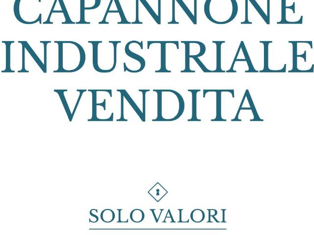 Capannone in vendita a Borgo Rurale Fratelli Grinzato, Vigonza