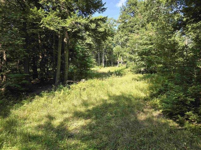 Land for sale in Bennington, Vermont