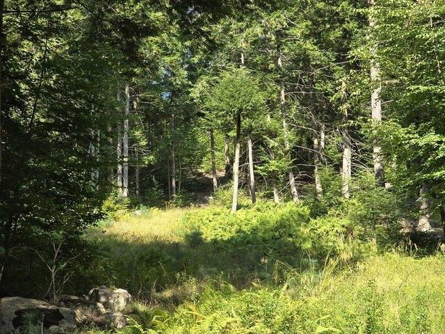 Land for sale in Bennington, Vermont