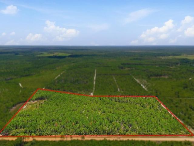 Land for sale in Eustis, Lake County