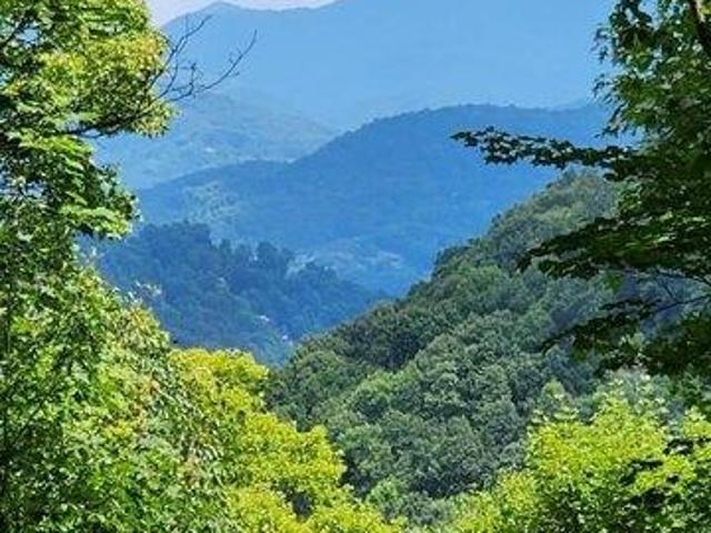Land for sale in Maggie Valley, North Carolina