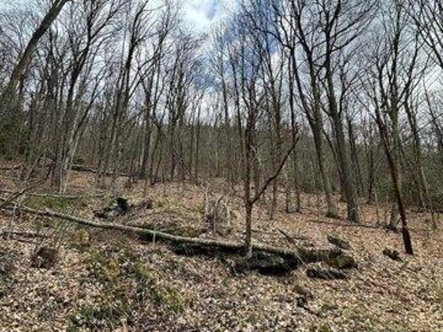 Land for sale in Maggie Valley, North Carolina