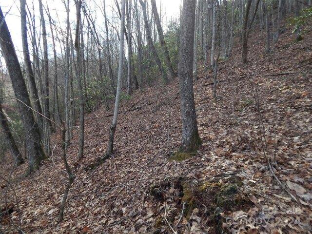 Land for sale in Maggie Valley, North Carolina