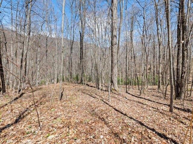 Land for sale in Maggie Valley, North Carolina