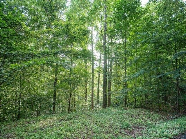 Land for sale in Haywood, North Carolina
