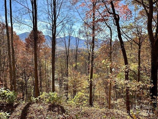 Land for sale in Haywood, North Carolina