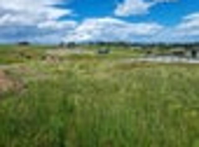 Land for sale in Otakou