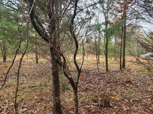 Land for sale in Tennessee