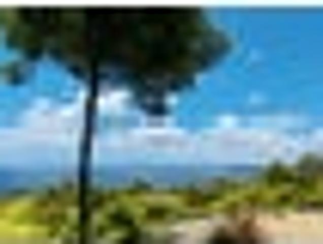 Land for sale in Waikawau, Waikato