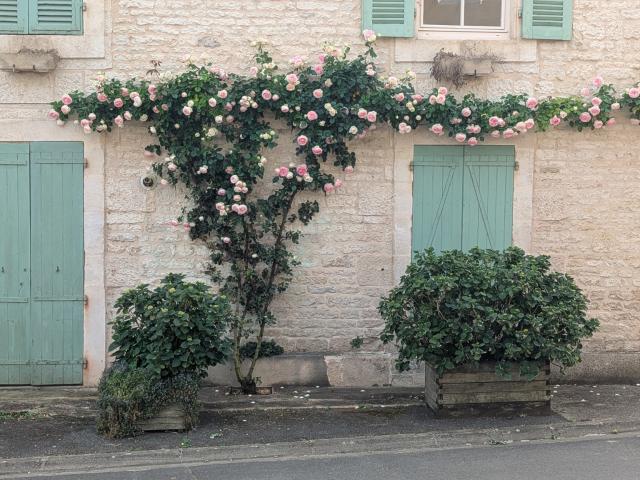 Maison vente à Niort, Magné