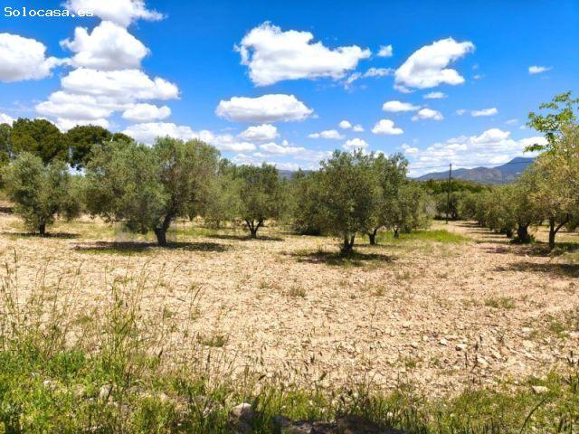 Casa en venta en l'Alt Vinalopó / El Alto Vinalopó, Valencia