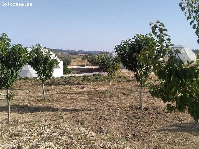 Casa en venta en el Pinós / Pinoso, Alacant / Alicante