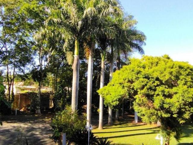 Sítio e chácara venda em Santa Bárbara d'Oeste