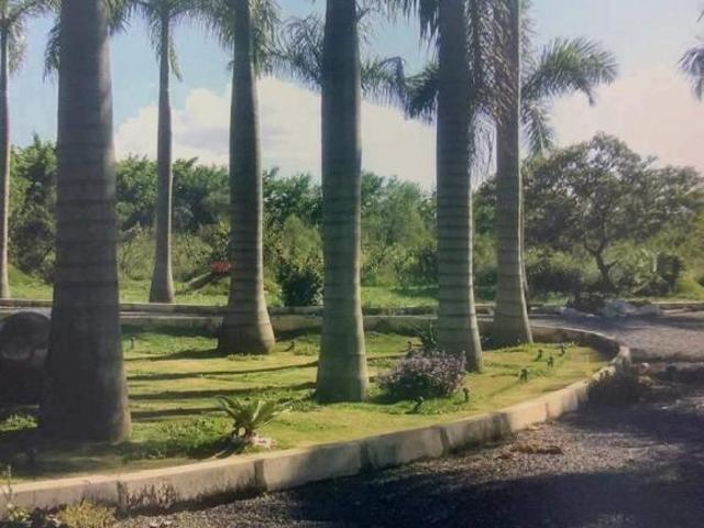 Sítio e chácara venda em Região Geográfica Imediata do Distrito Federal, Região Integrada de Desenvolvimento do Distrito Federal e Entorno