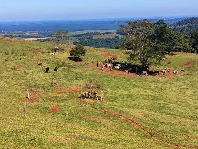 Sítio e chácara venda em Região Imediata de Botucatu, Pardinho