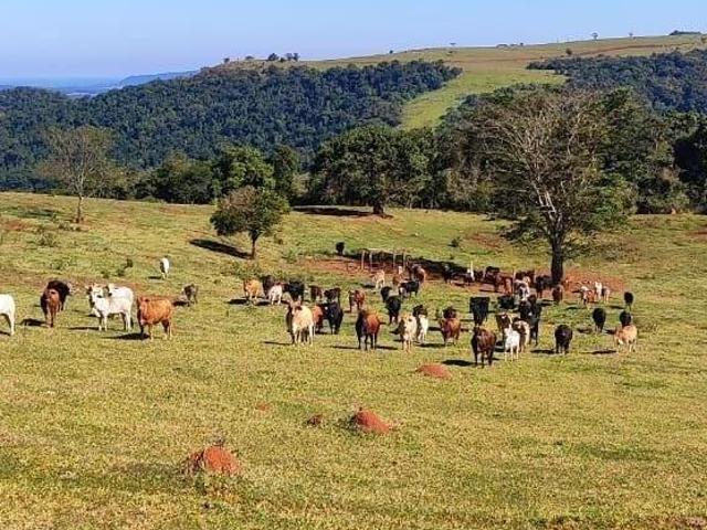 Sítio e chácara venda em Região Imediata de Botucatu, Pardinho