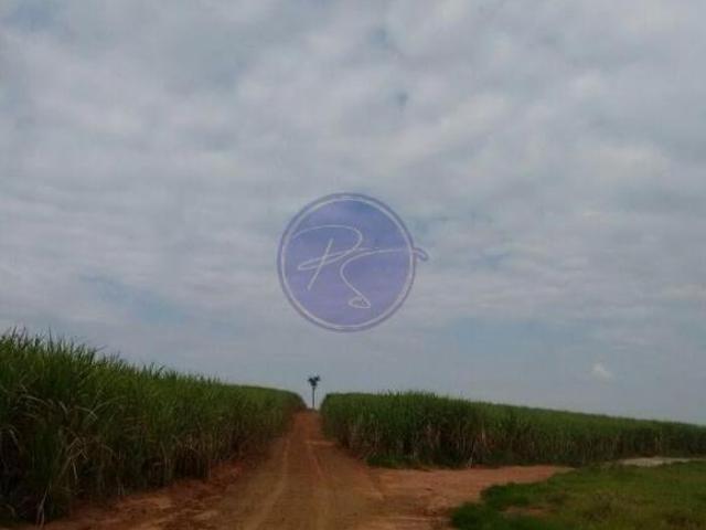 Sítio e chácara venda em Região Imediata de Presidente Prudente, Regente Feijo