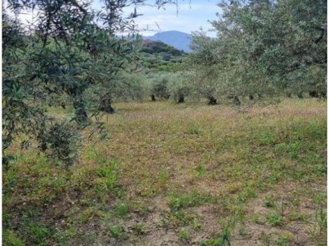 Casa en venta en Guaro