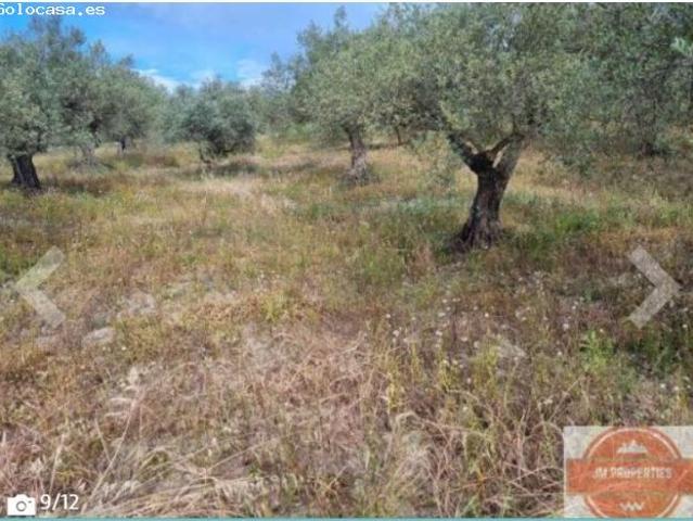 Casa en venta en Sierra de las Nieves, Andalucía
