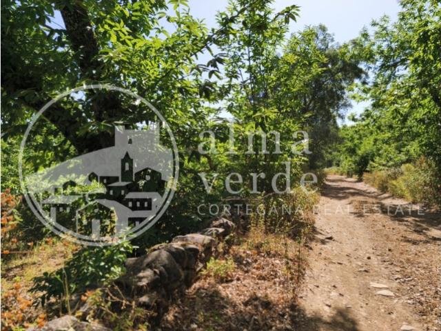 Casa Rural en venta en Cortegana, Huelva