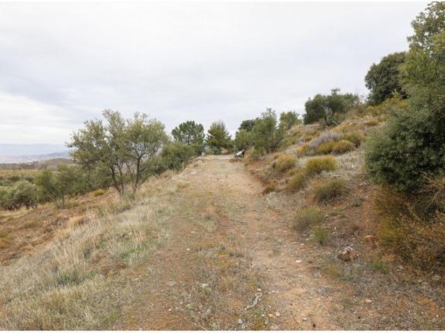 Local Comercial en venta en Monachil, Granada