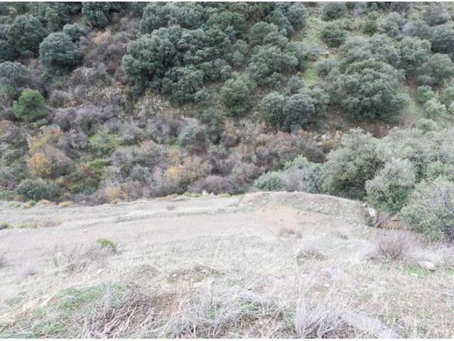 Local Comercial en venta en Monachil, Granada