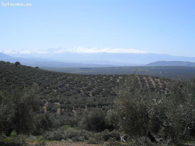 Local Comercial en venta en Comarca de Loja, Andalucía