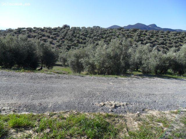 Local Comercial en venta en Comarca de Loja, Andalucía