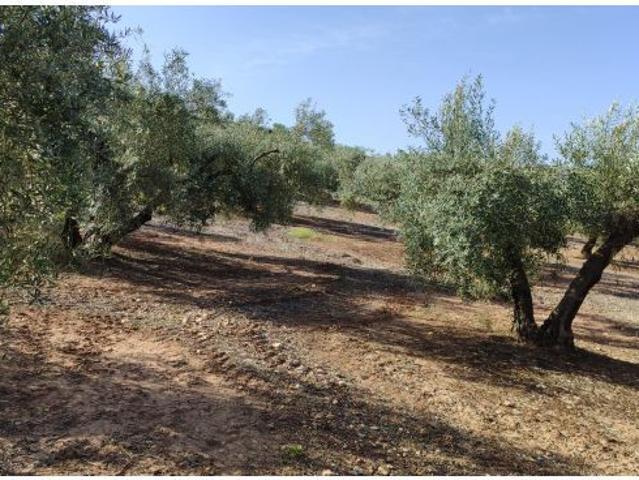 Local Comercial en venta en Luque, Córdoba