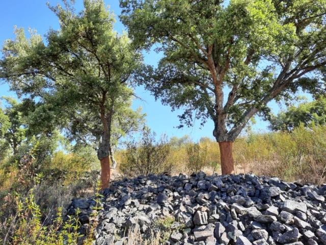 Terreno en venta en Tierra de Badajoz, Extremadura