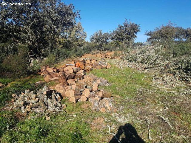 Local Comercial en venta en Alburquerque, Benavente