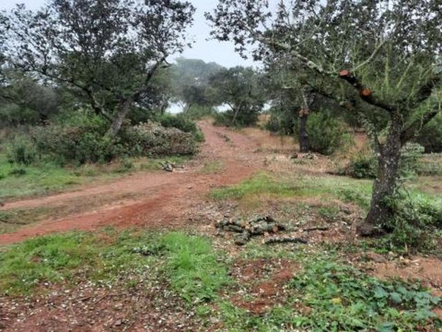 Local Comercial en venta en Tierra de Badajoz, Extremadura