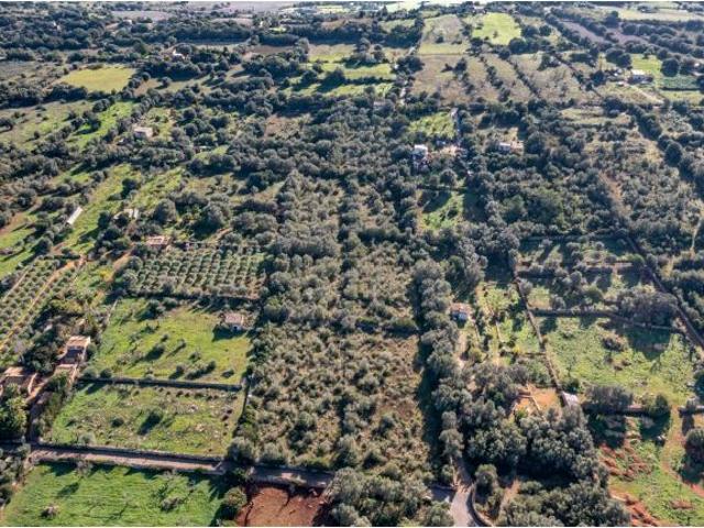 Casa en venta en Pla de Mallorca, Baleares