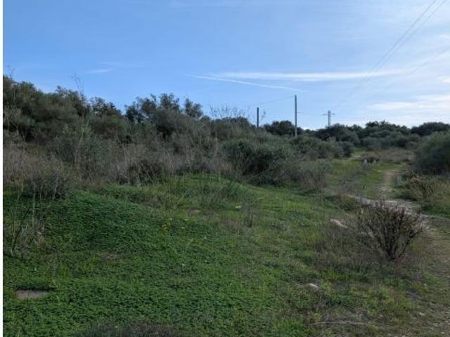 Local Comercial en venta en Pla de Mallorca, Baleares