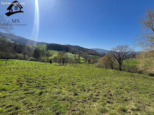 Local Comercial en venta en Villafufre, Cantabria