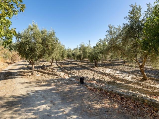 Terreno en venta en Albaicín, Comarca de la Vega de Granada
