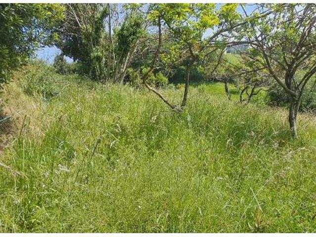 Local Comercial en venta en L'Escampleru, Las Regueras