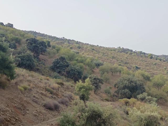 Terreno en venta en La Axarquía, Andalucía