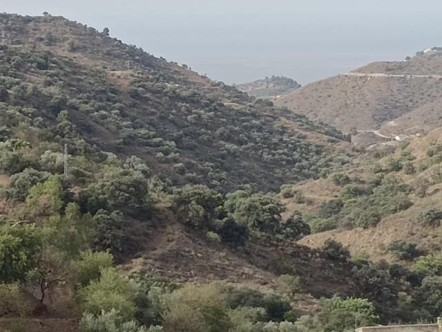 Terreno en venta en La Axarquía, Andalucía