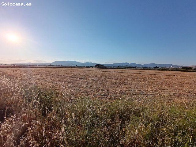 Local Comercial en venta en El Jau, Comarca de la Vega de Granada