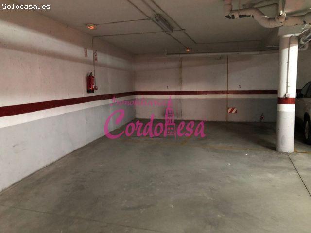 Local Comercial en venta en Ribera Baja, Córdoba