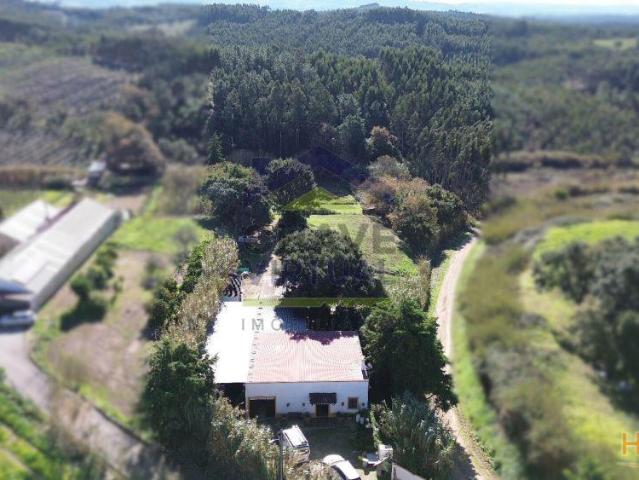 Quinta venda em Cadaval, Lisboa