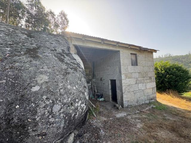 Quinta venda em Carregal Do Sal, Viseu