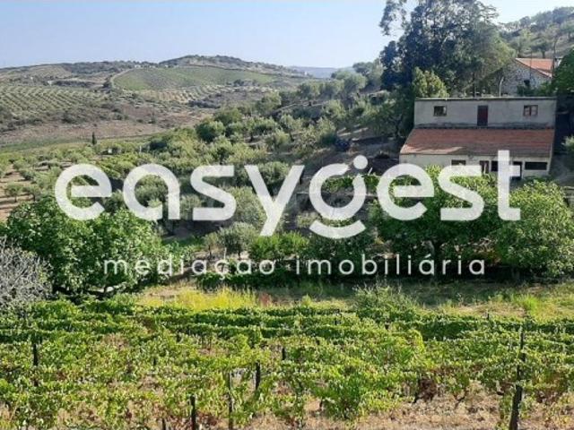 Quinta venda em Torre De Moncorvo, Bragança