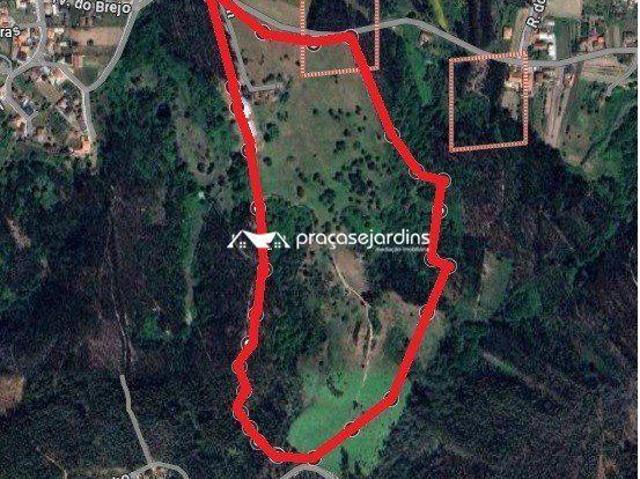 Quinta venda em Leiria