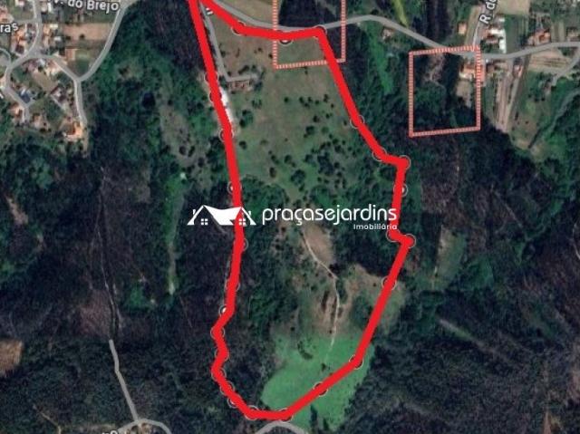 Quinta venda em Leiria