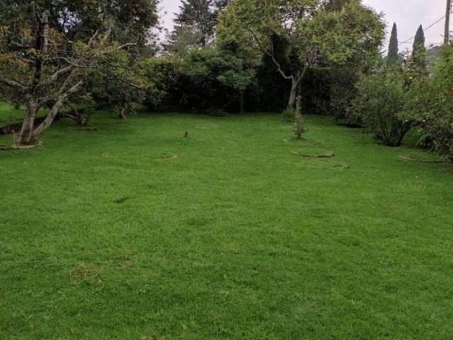 MAGNÍFICA QUINTA EN HUERTAS DE SAN PEDRO CON GRAN EXTENSIÓN DE TERRENO