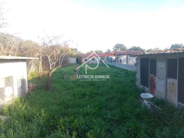 Casa venda em Castelo Branco