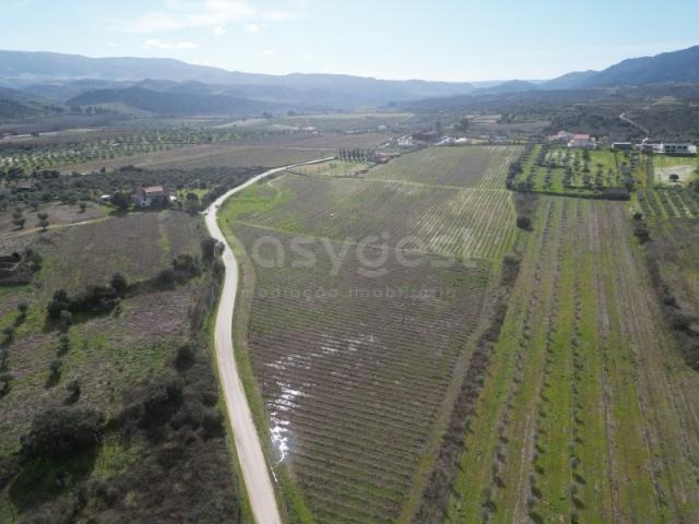 Terreno venda em Torre De Moncorvo, Bragança